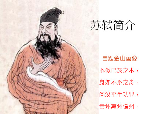 苏轼(1037～1101),字子瞻,又字和仲,号"东坡居 士",南宋高宗朝,赠