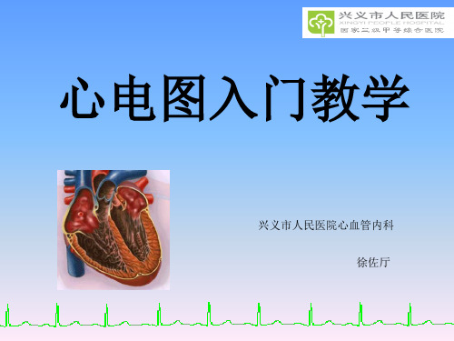 按照心臟激動的時間順序,將 體表電位的變化記錄下來,形成一 條連續