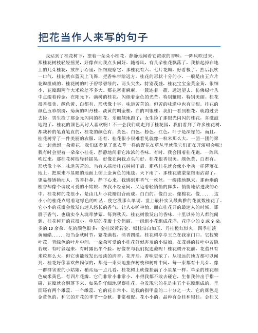 把花当作人来写的句子 我站到了桂花树下,望着一朵朵小桂花,静静地闻