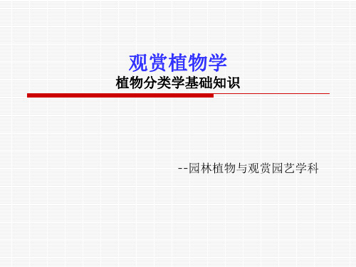 界門綱目科屬種 - 百度文庫