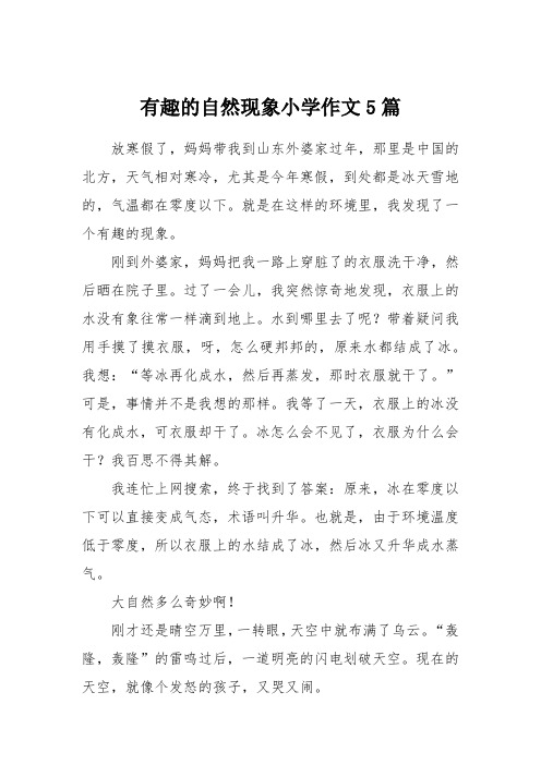 有趣的自然现象小学作文5篇 放寒假了,妈妈带我到山东外婆家过年,那里