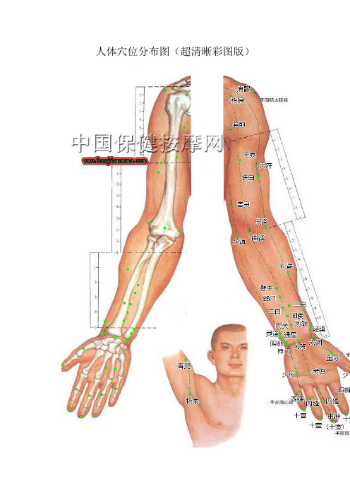 人體穴位分佈圖(超清晰彩圖版) 人體上肢正面穴位圖|人體上肢背面穴位
