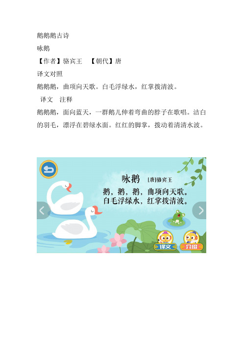 鹅鹅鹅古诗 咏鹅 【作者】骆宾王【朝代】唐译文对照鹅鹅鹅,曲项