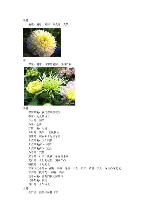 玫瑰朵数花语大全 - 百度文库