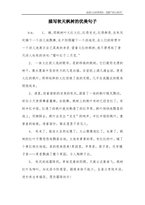 描写秋天枫树的优美句子 导读:1, 瞧,那枫树叶火红火红,红得发光,红