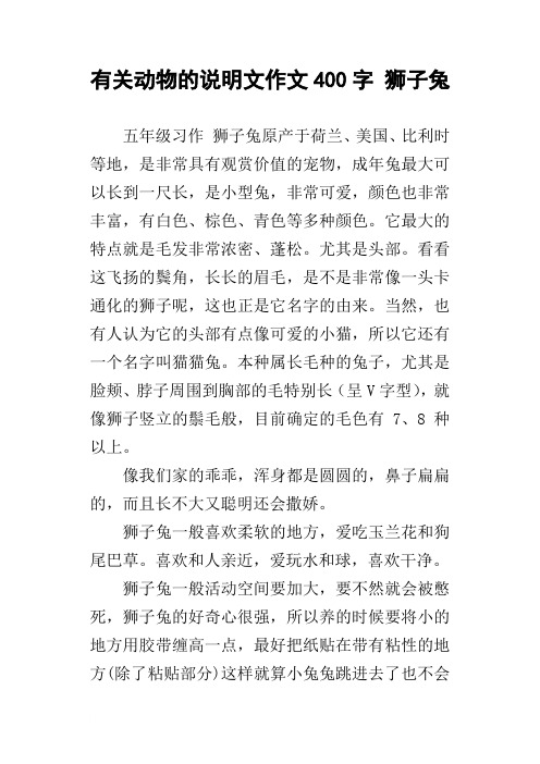 有关动物的说明文作文400字 狮子兔 五年级习作 狮子兔原产于荷兰
