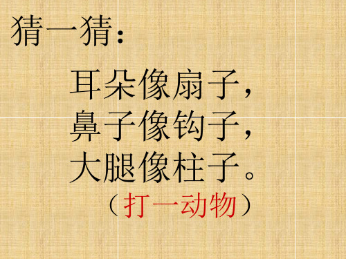 (打一动物) 这么大的象到底有多重呢?