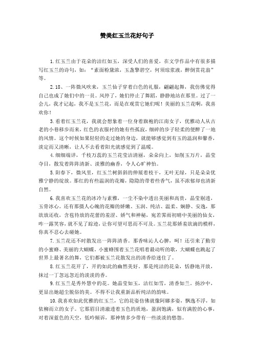 赞美红玉兰花好句子 1.