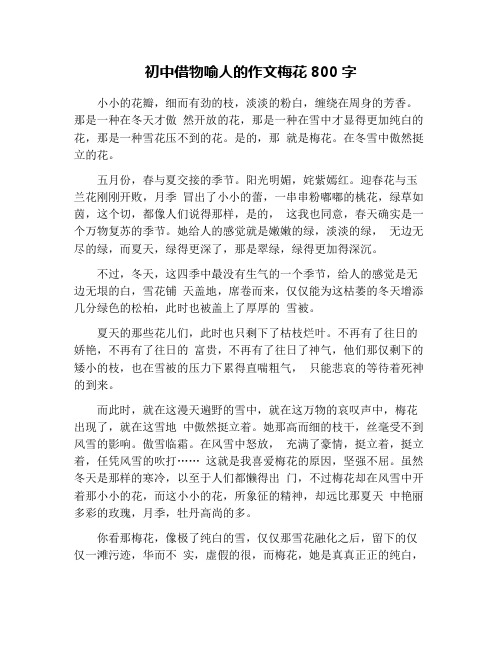 初中借物喻人的作文梅花800字 小小的花瓣,细而有劲的枝,淡淡的粉白
