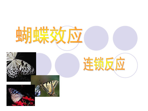 系统中,初始条件下微小的变化 能带动整个系统的长期的巨大的连锁反应