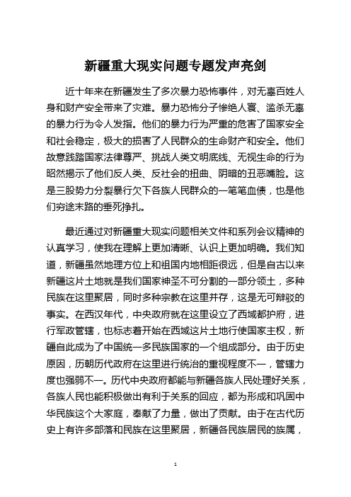 重大现实问题专题发声亮剑 近十年来在新疆发生了多次暴力恐怖事件,对