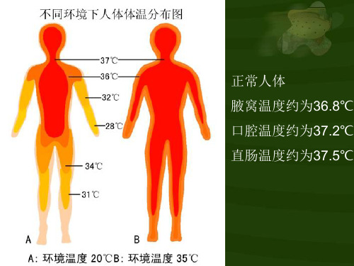 正常人體 腋窩溫度約為36.8℃ 口腔溫度約為37.2℃ 直腸溫度約為37.