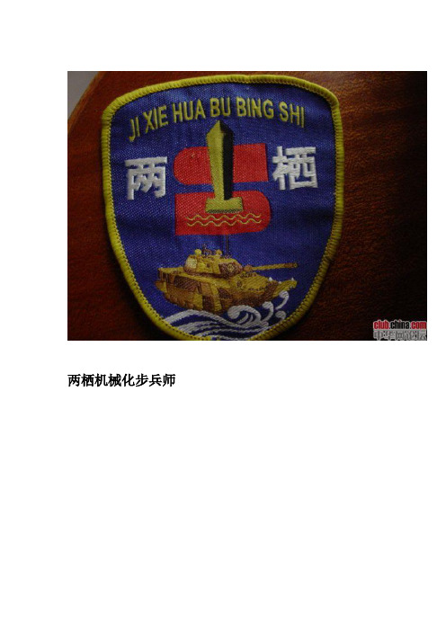 新式的三軍臂章 中國特種兵最新式胸徽 中國陸軍特