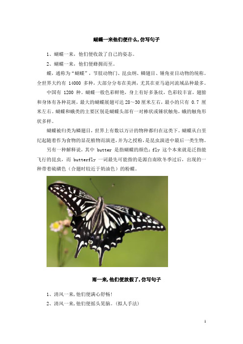 2,蝴蝶一来,他们便蜂拥而至.