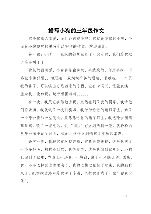 描写小狗的三年级作文 它不仅惹人喜爱,而且还很聪明呢!