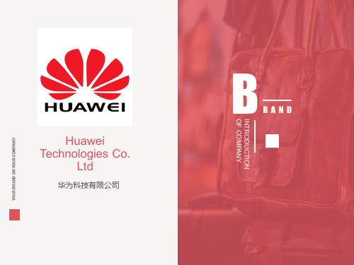 ltd 华为科技有限公司 introduction of company b rand contents