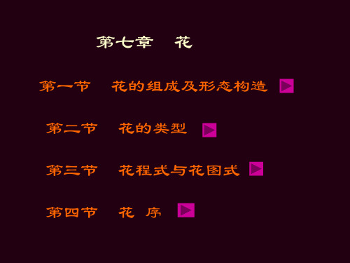 第一節 第二節 第三節 花 花的組成及形態構造 花的類型 花程式與花