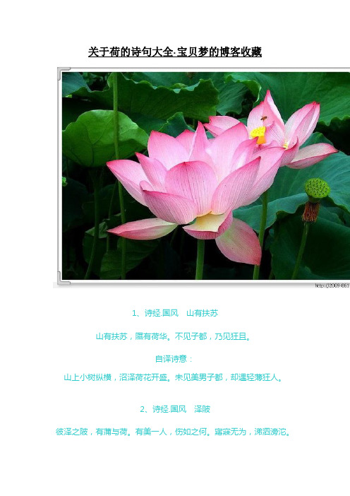 不见子都,乃见狂且. 自译诗意:山上小树纵横,沼泽荷花开盛.