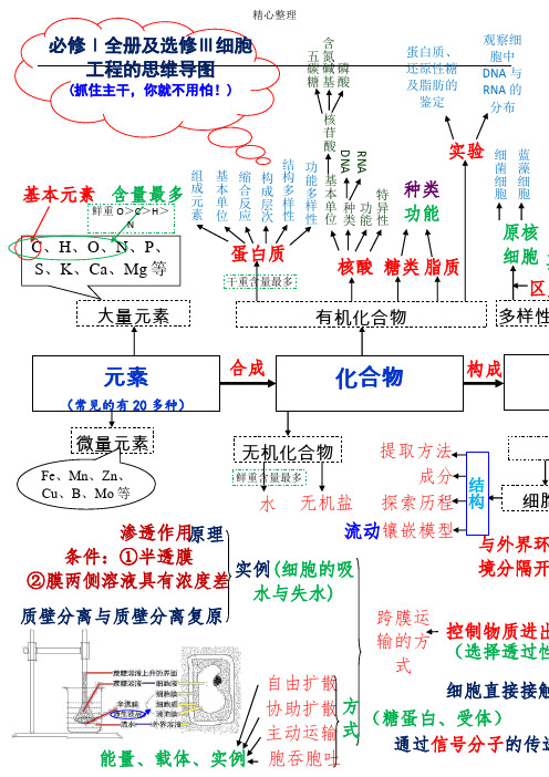 含 五氮 碳鹼磷 糖基酸 蛋白質, 還原性糖 及脂肪的 觀察細 胞中