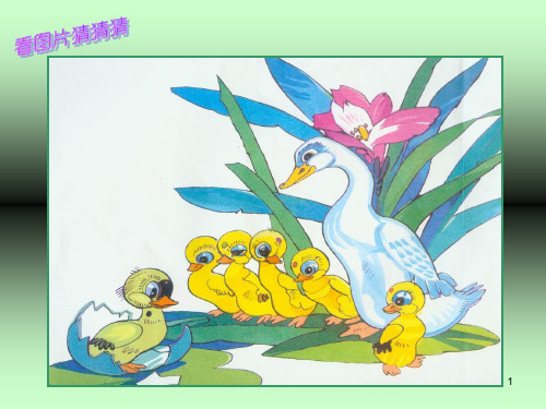 4 看图猜一猜 . 5 .