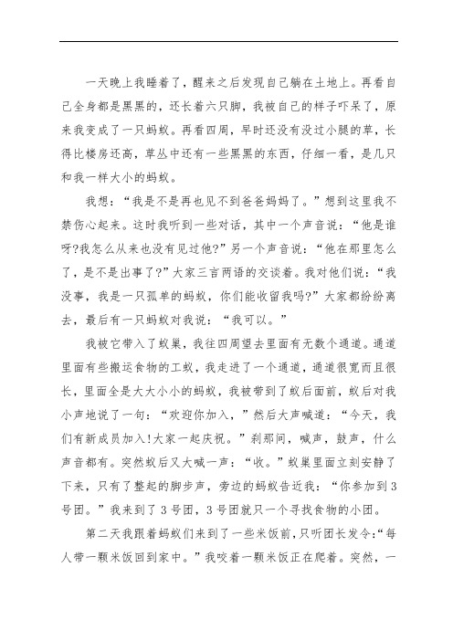 蚂蚁变形记作文500字 - 百度文库