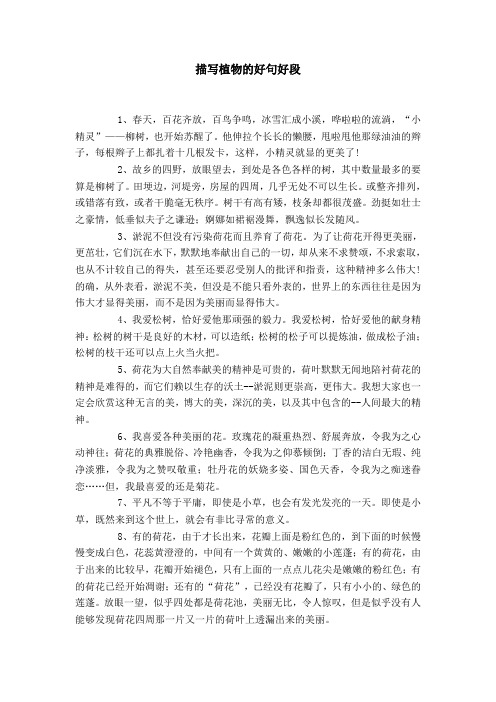 他伸拉个长长的懒腰,甩啦甩他那绿油油的辫子,每根辫子上都扎着十几根