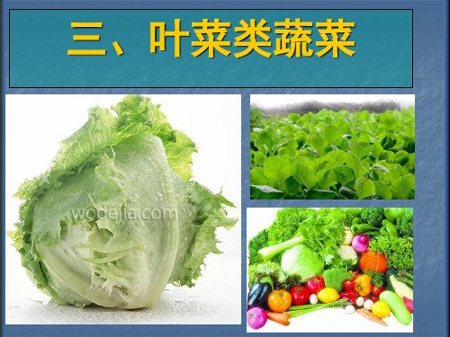 蔬菜名称大全500种 - 百度文库