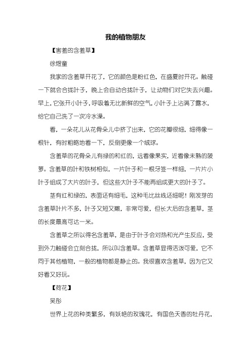 我的植物朋友 【害羞的含羞草】徐煜童我家的含羞草开花了,它的颜色是