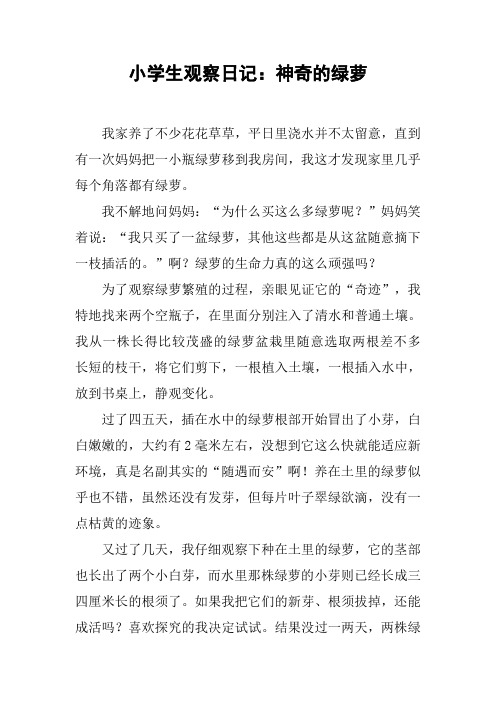 观察绿萝的观察日记怎么写(观察绿萝日记300字植物8篇)