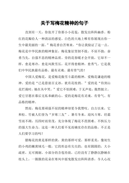 关于写梅花精神的句子 直到有一天,你张开了你那小小花苞,散发出阵阵