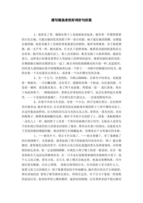 描写流浪者的好词好句好段 1,他看见了蒂.