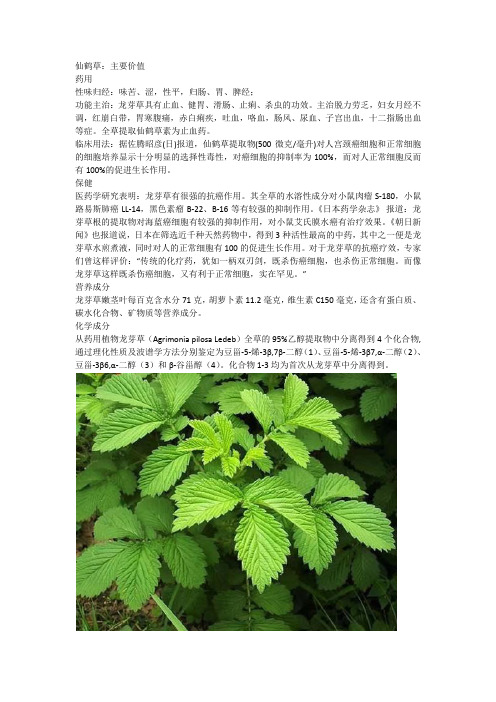 仙鶴草:主要價值藥用性味歸經:味苦,澀,性平,歸腸,胃,脾經;功能主治