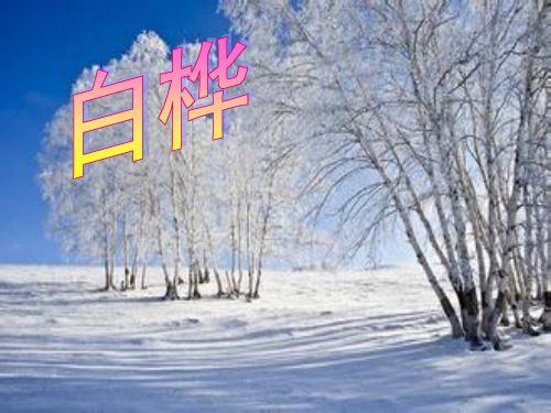 叶赛宁 谢尔盖·亚历山德罗维 奇·叶赛宁,苏联俄罗斯诗人.