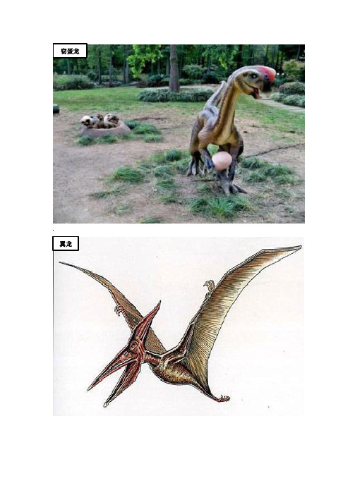 恐龙种类 - 百度文库