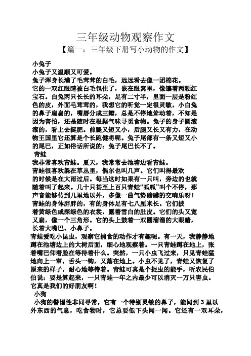 观察日记动物小白兔 - 百度文库