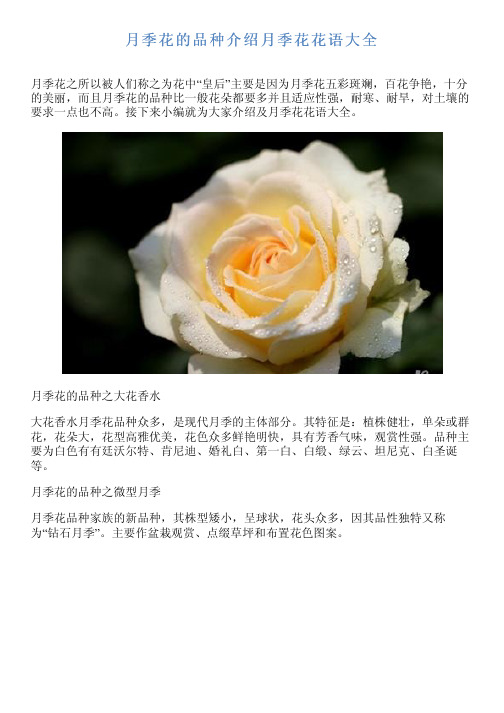 月季花的品种介绍月季花花语大全 月季花之所以被人们称之为花中"皇后