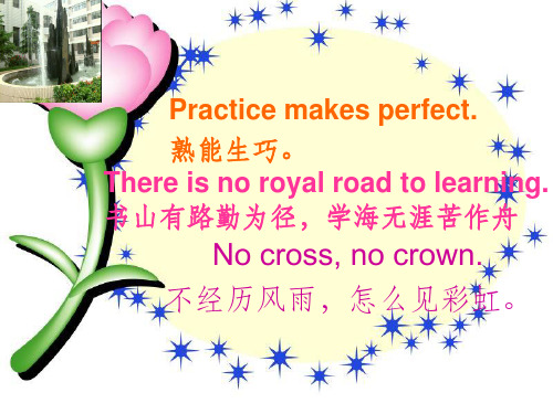 熟能生巧. there is no royal road to learning.