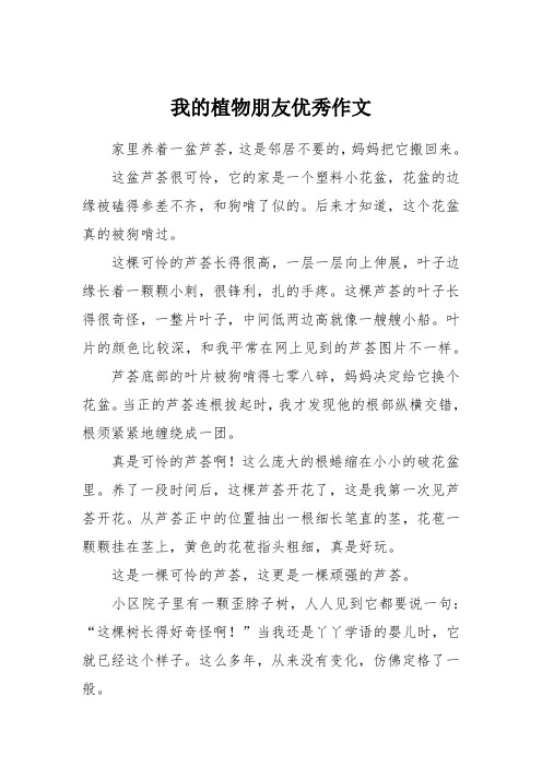 这盆芦荟很可怜,它的家是一个塑料小花盆,花盆的边缘被磕得参差不齐