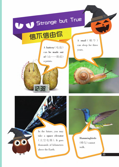a snail (蜗牛) can be made ut a ptat.