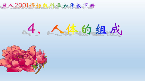 人由四个部分组成 - 百度文库