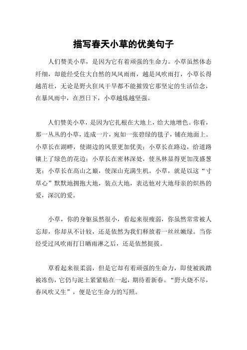 描写春天小草的优美句子 人们赞美小草,是因为它有着顽强的生命力.