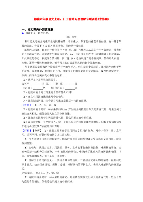 深山含笑 我以前见过的含笑花都是庭院种植的,叶细花小,象牙色的花蕊
