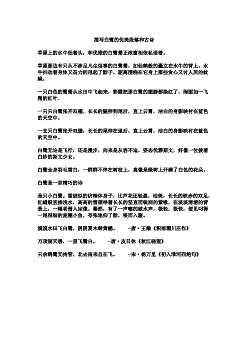 描写白鹭的优美段落和古诗 草原上的水牛低着头,和优雅的白鹭鸶正浓蜜