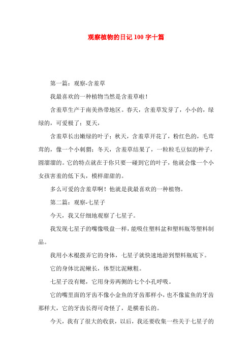 植物观察日记100字左右(植物观察日记100字左右第2天怎么写)
