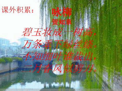 描写大树的古诗(描写大树的古诗词)