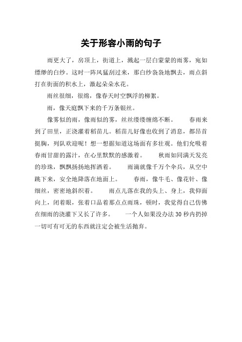 这时一阵风猛刮过来,那白纱袅袅地飘去,雨点斜打在街面的积水上,激起