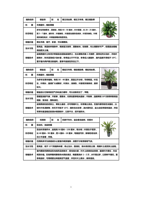 18种最适合摆放室内的绿色植物 百度文库