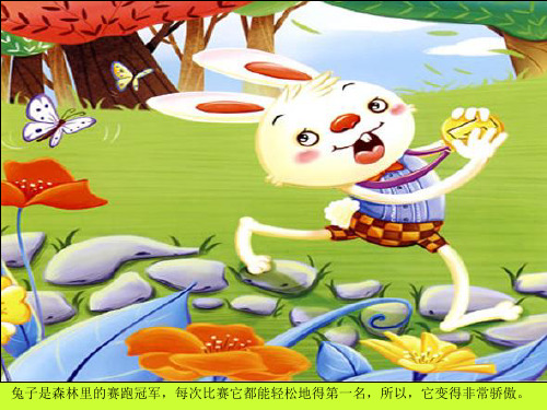 兔龟兔赛跑故事 - 百度文库