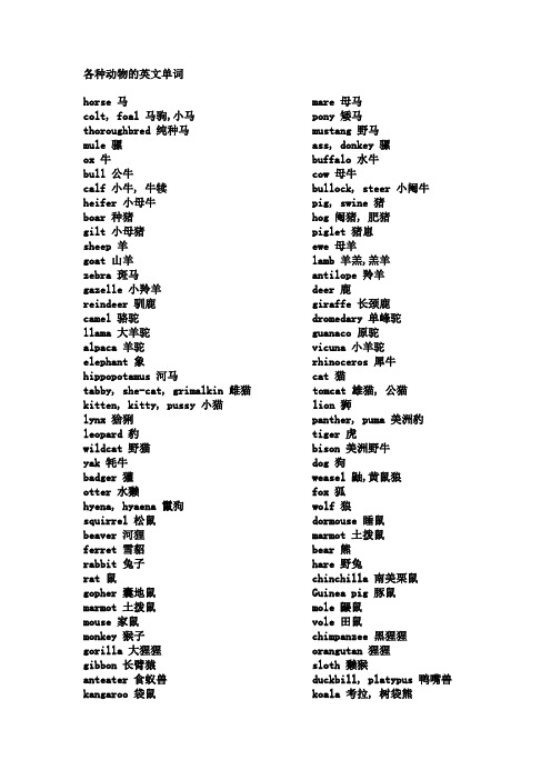 各种动物的英文单词 hrse马mare母马clt, fal马驹,小马pny矮马thrugh