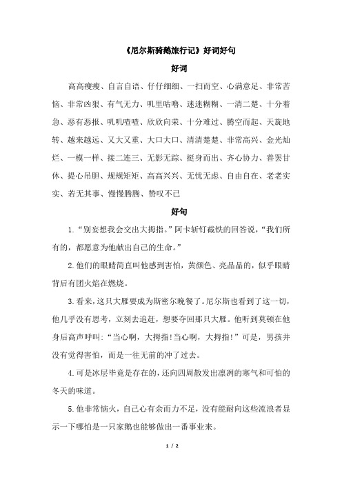 《尼尔斯骑鹅旅行记》好词好句 好词 高高瘦瘦,自言自语,仔仔细细,一